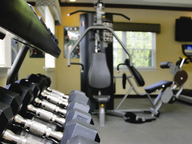 free weights in the gym at Town & Country Luxury Apartments, Hampton Bays, NY